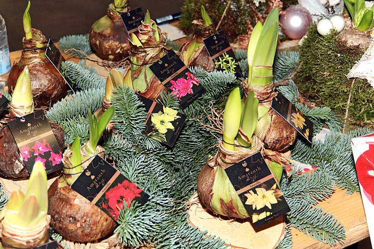 PLUS proeverijavond 16 dec 2016__05